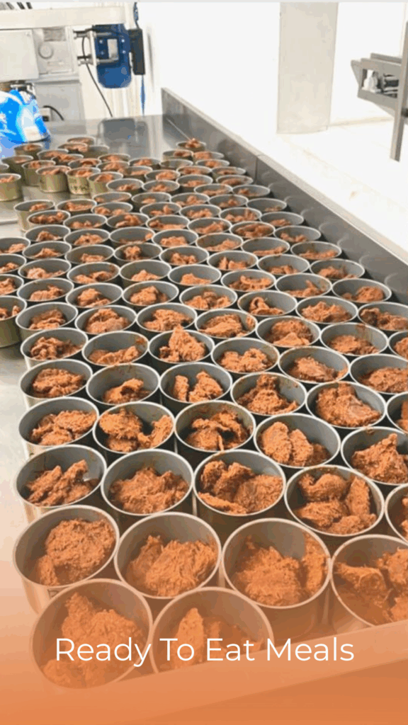 Add a little bit of body text (8)